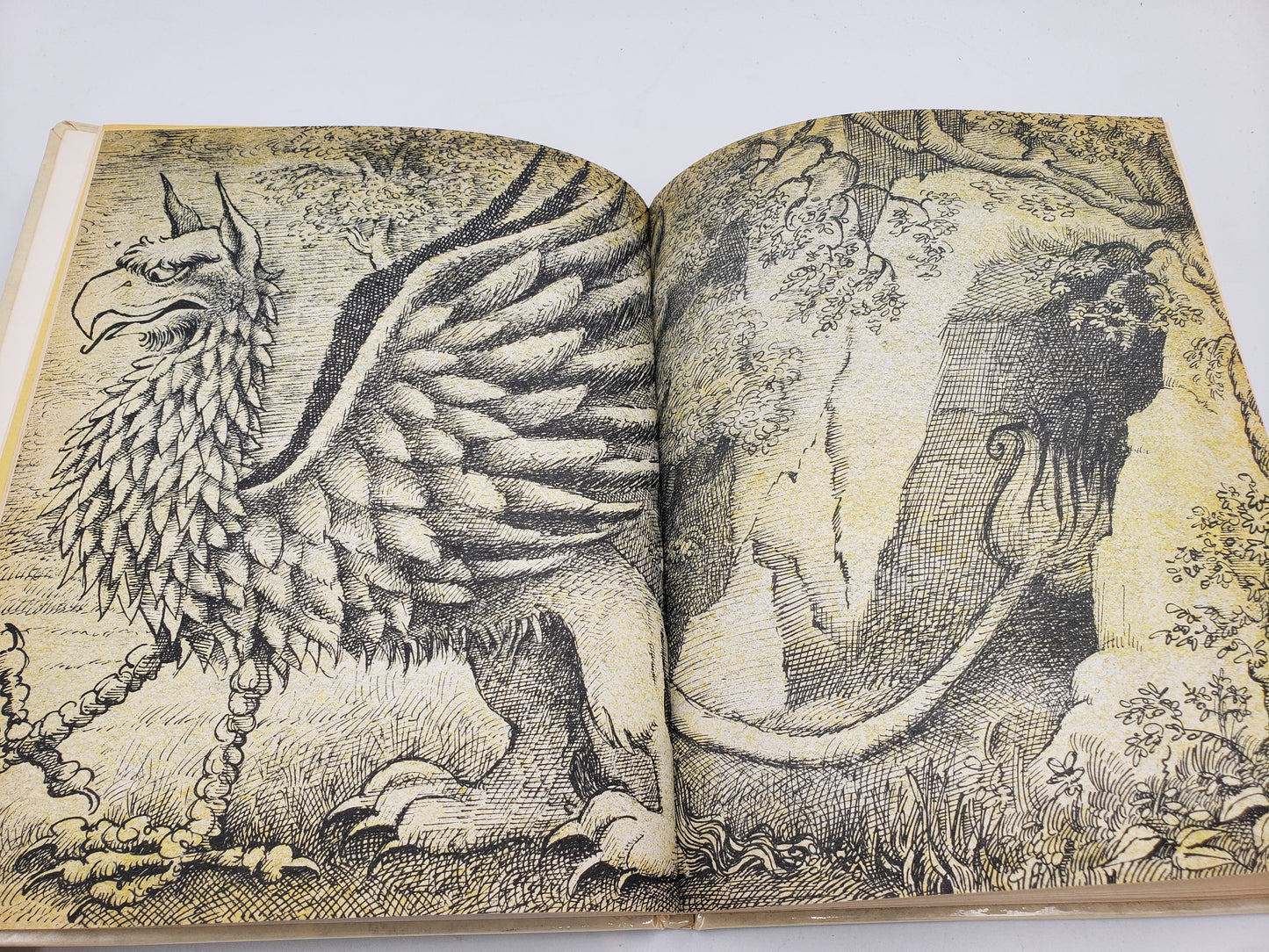 The Griffin and the Minor Canon