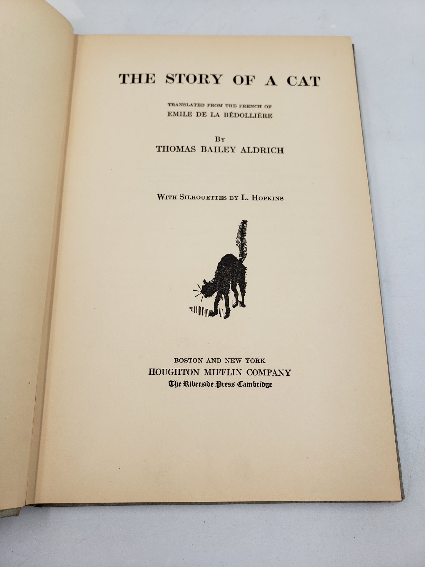 The Story Of A Cat
