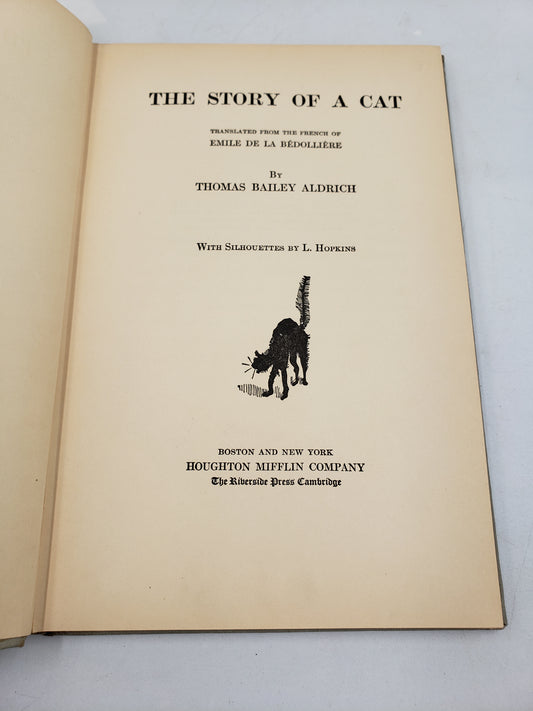 The Story Of A Cat