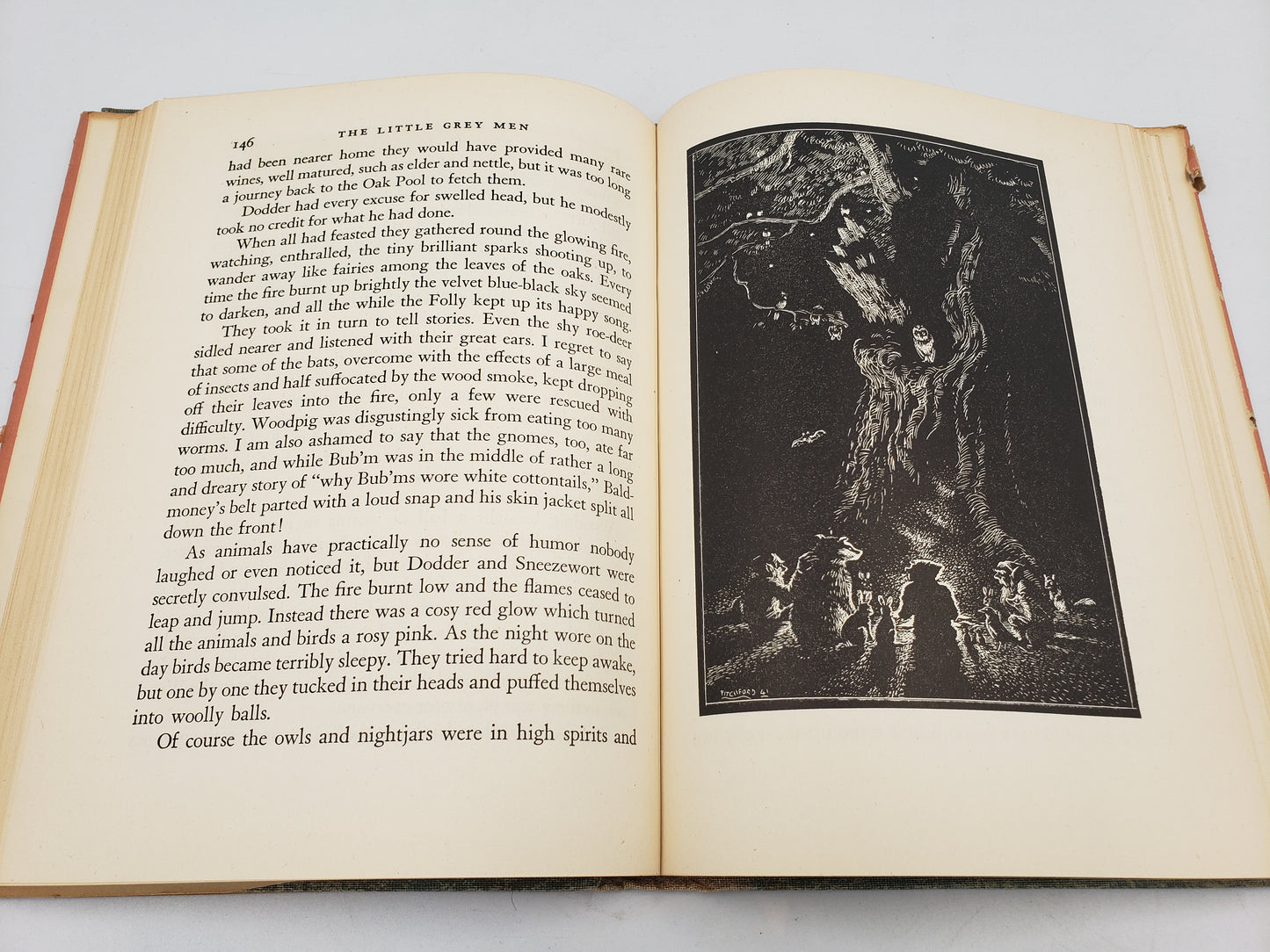 The Little Grey Men