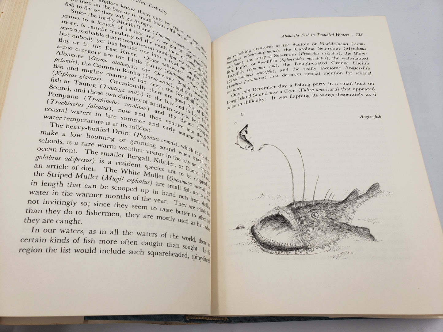 A Natural History of New York