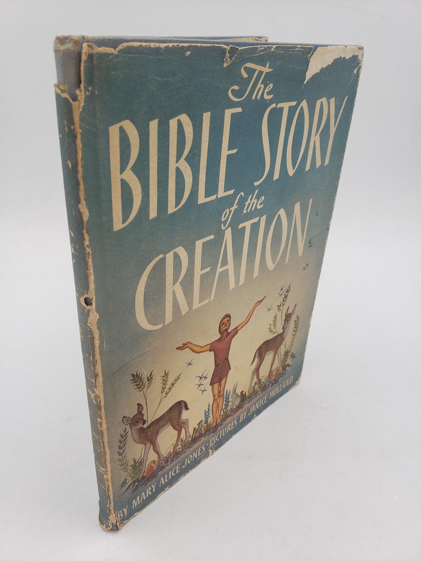 The Bible Story of the Creation