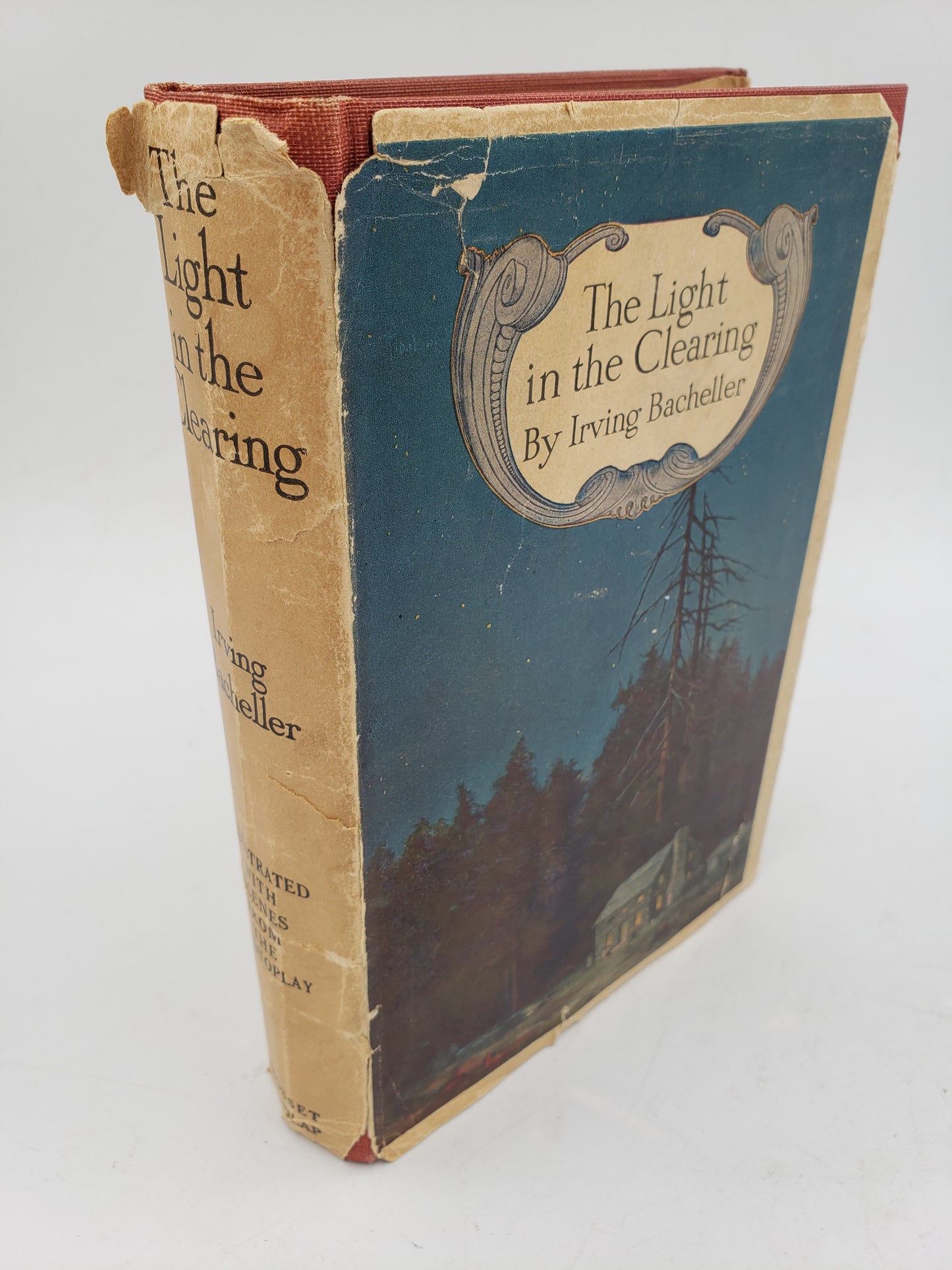 The Light in the Clearing