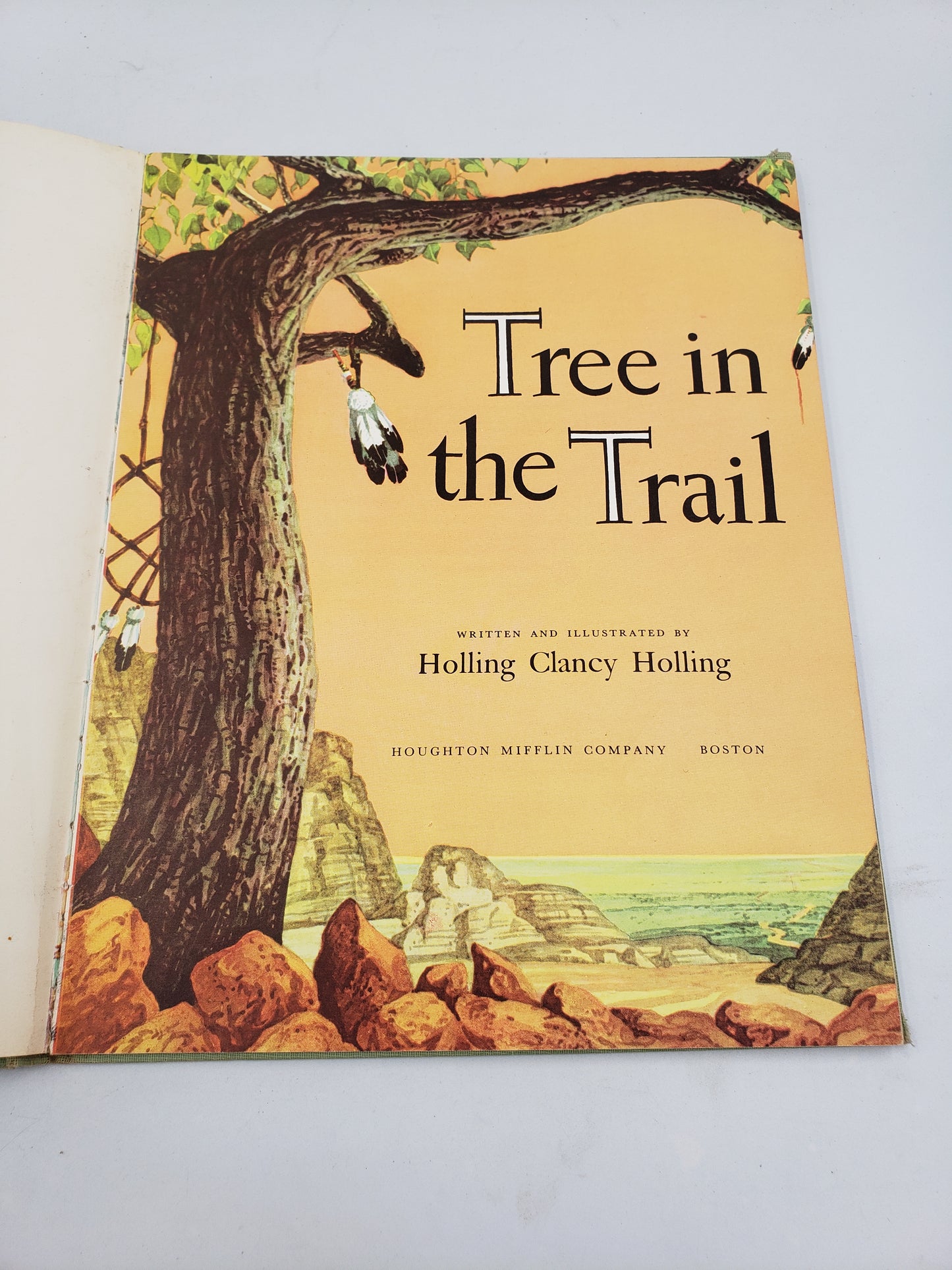 Tree In The Trail