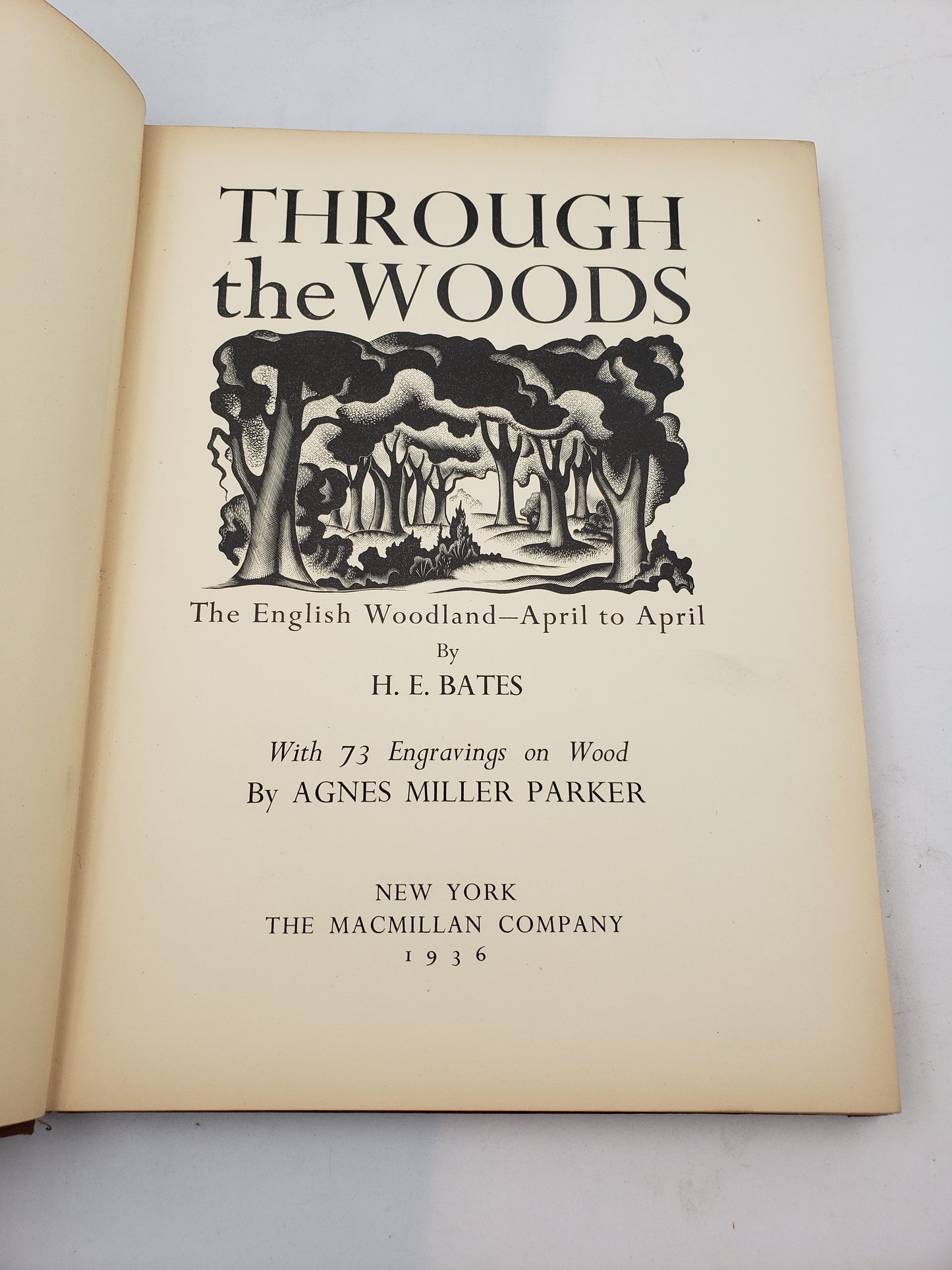 Through the Woods