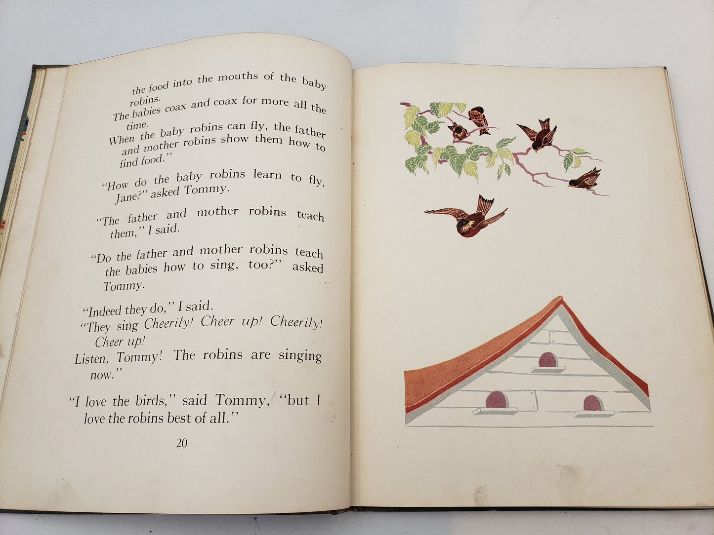 Tommy And Jane And The Birds