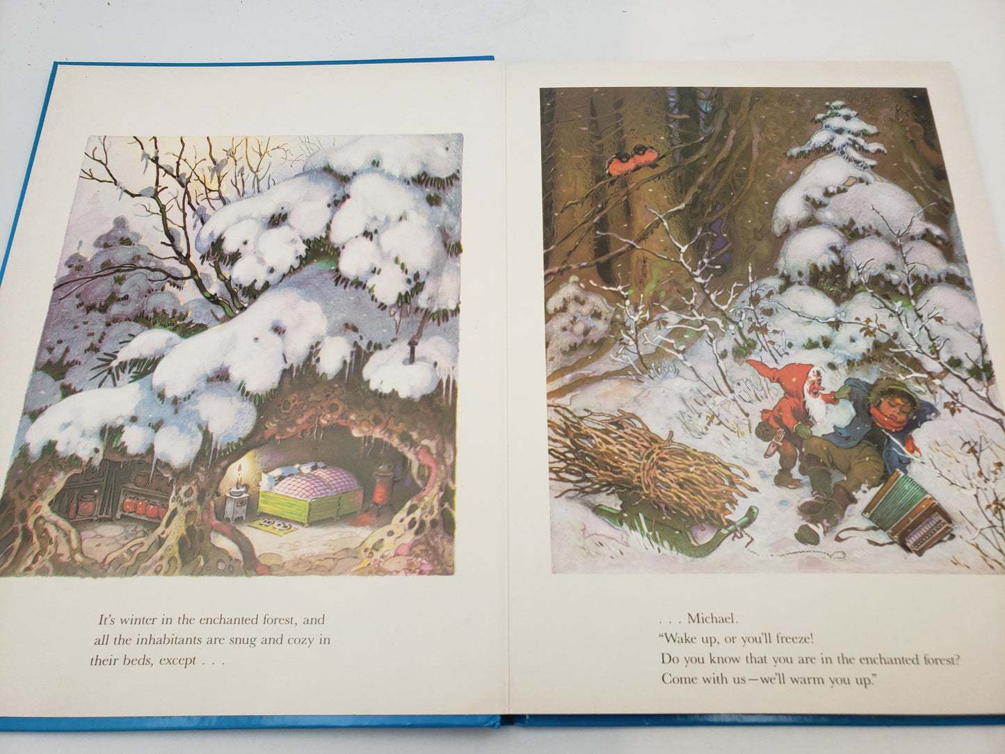 Winter in The Enchanted Forest