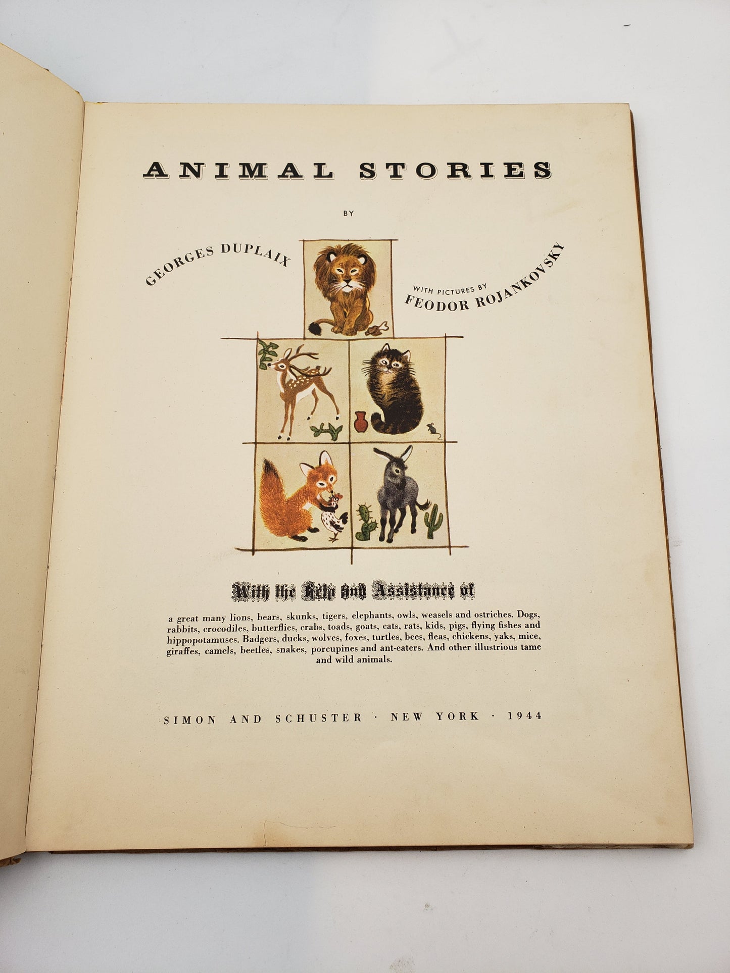 Animal Stories