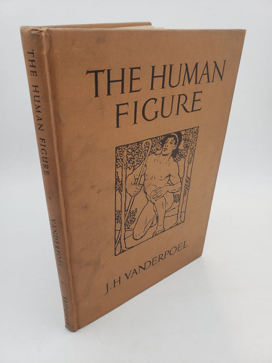 The Human Figure