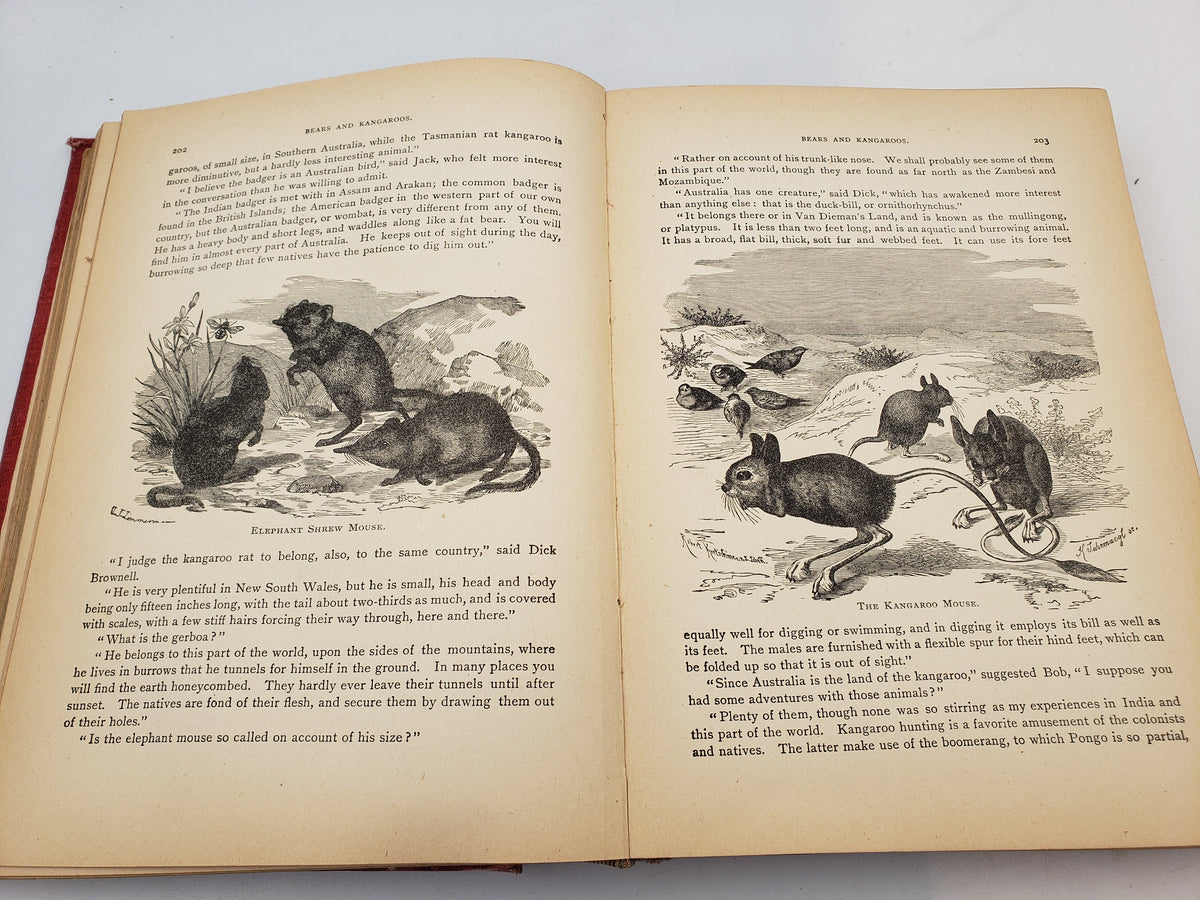 Forest And Jungle: An Illustrated History of the Animal Kingdom