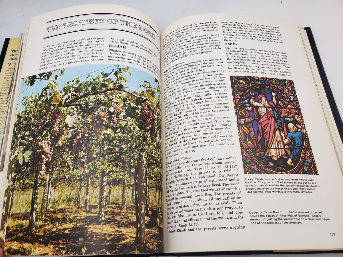 The Book Of The Bible: An Encyclopedic Guide to the World's Greatest Book