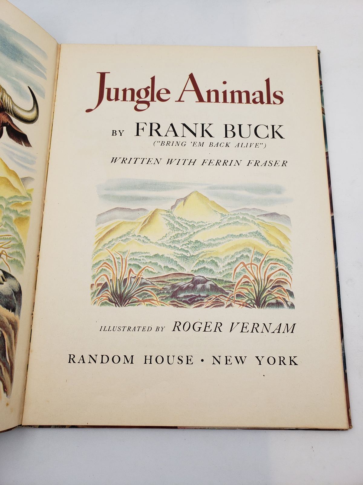 Jungle Animals