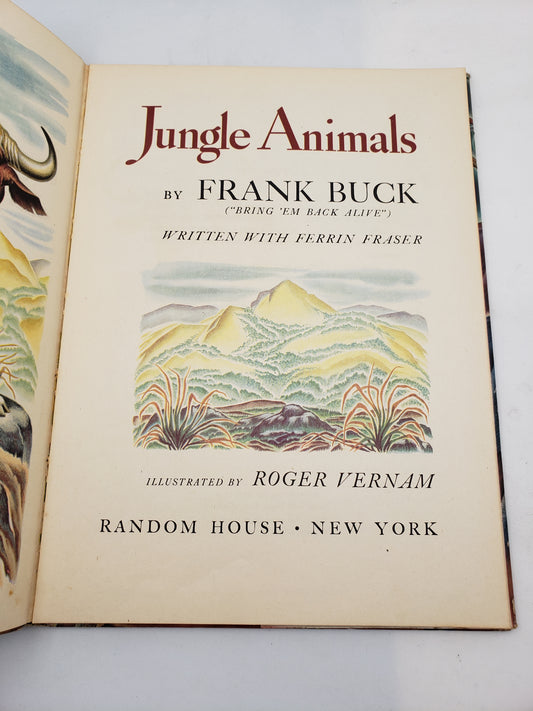 Jungle Animals