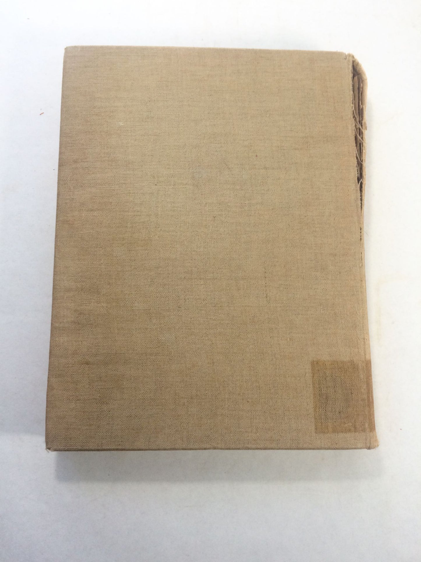 Das Europäische Porzellan des Bayer. Nationalmuseum. (Katalog des Bayer. Nationalmuseums. Zehnter Band)