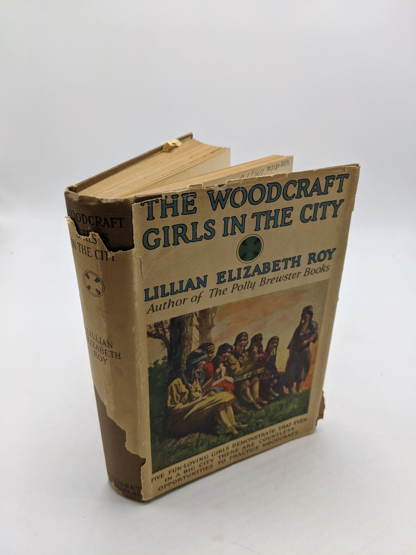 The Woodcraft Girls In The City
