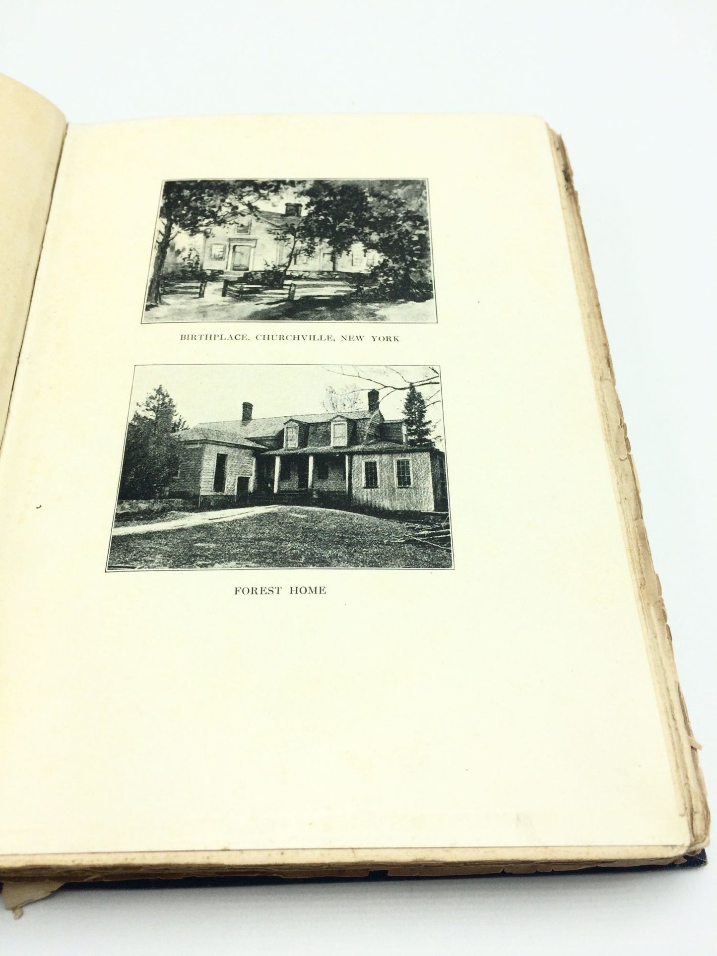 The Life Of Frances E. Willard