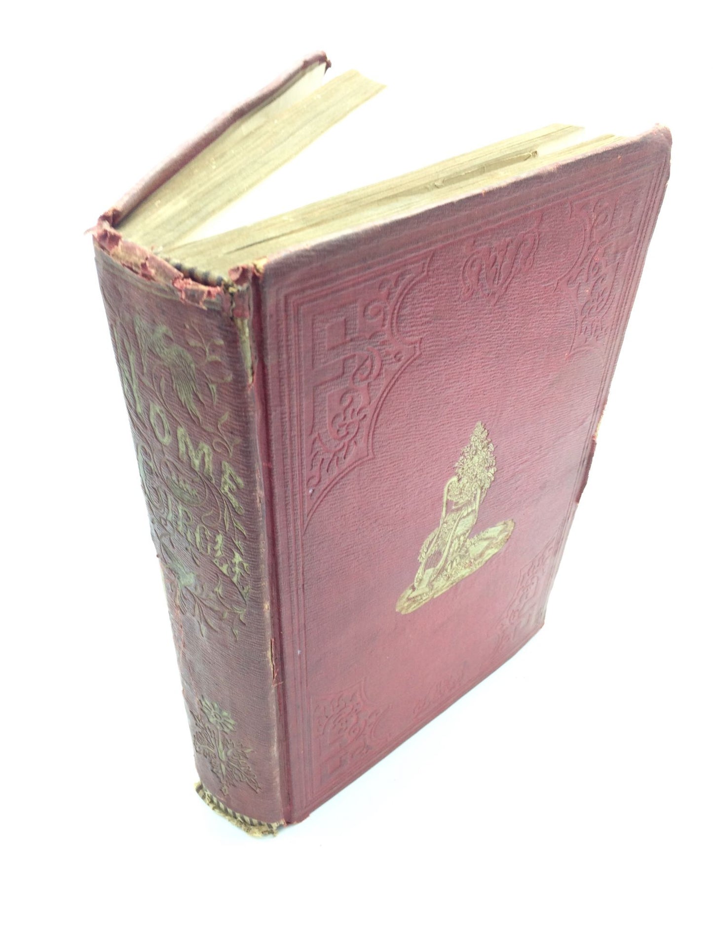 The Home Circle: A Monthly Periodical Devoted To Religion And Literature Volume I