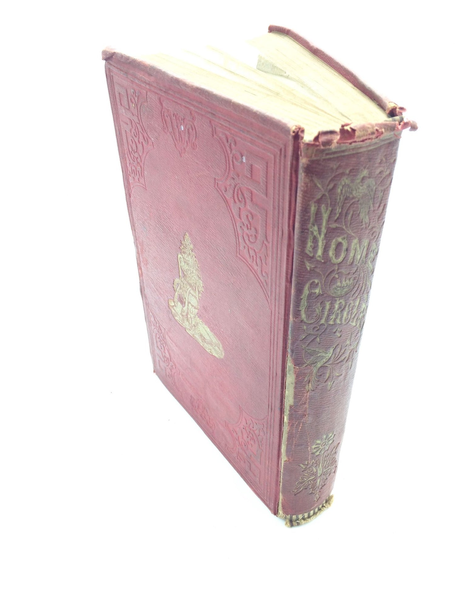 The Home Circle: A Monthly Periodical Devoted To Religion And Literature Volume I
