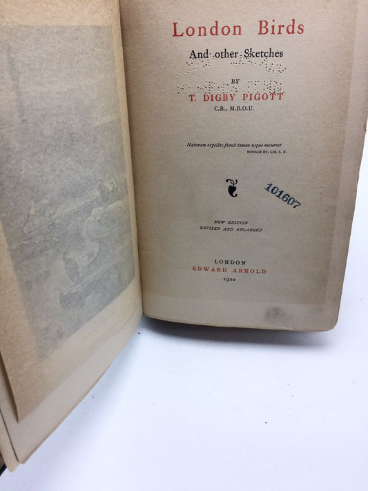 London Birds And Other Sketches