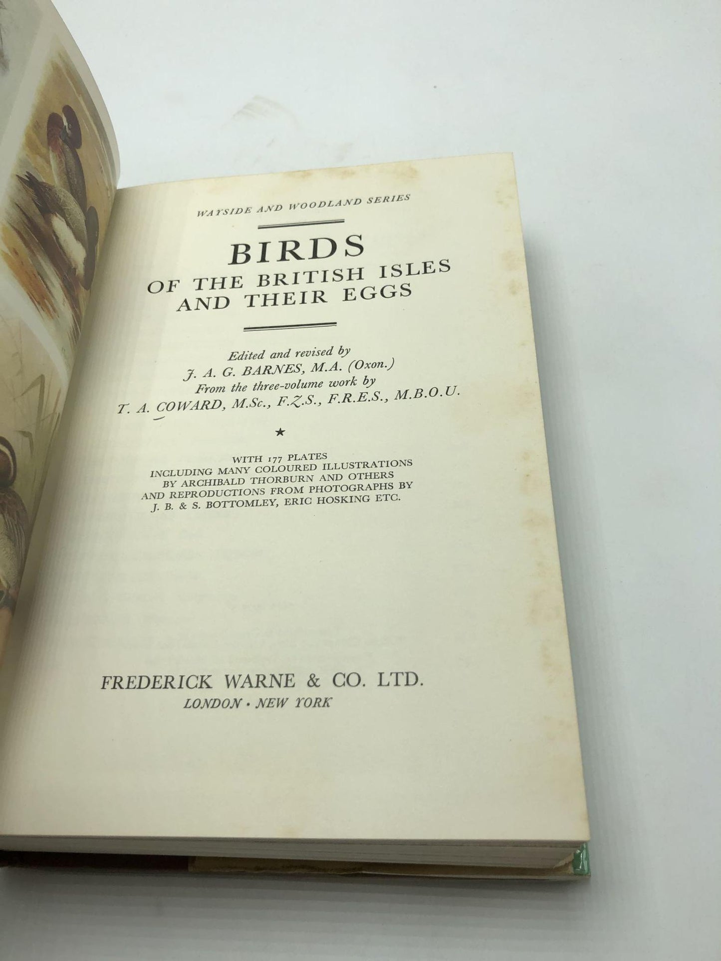 Birds Of The British Isles And Their Eggs