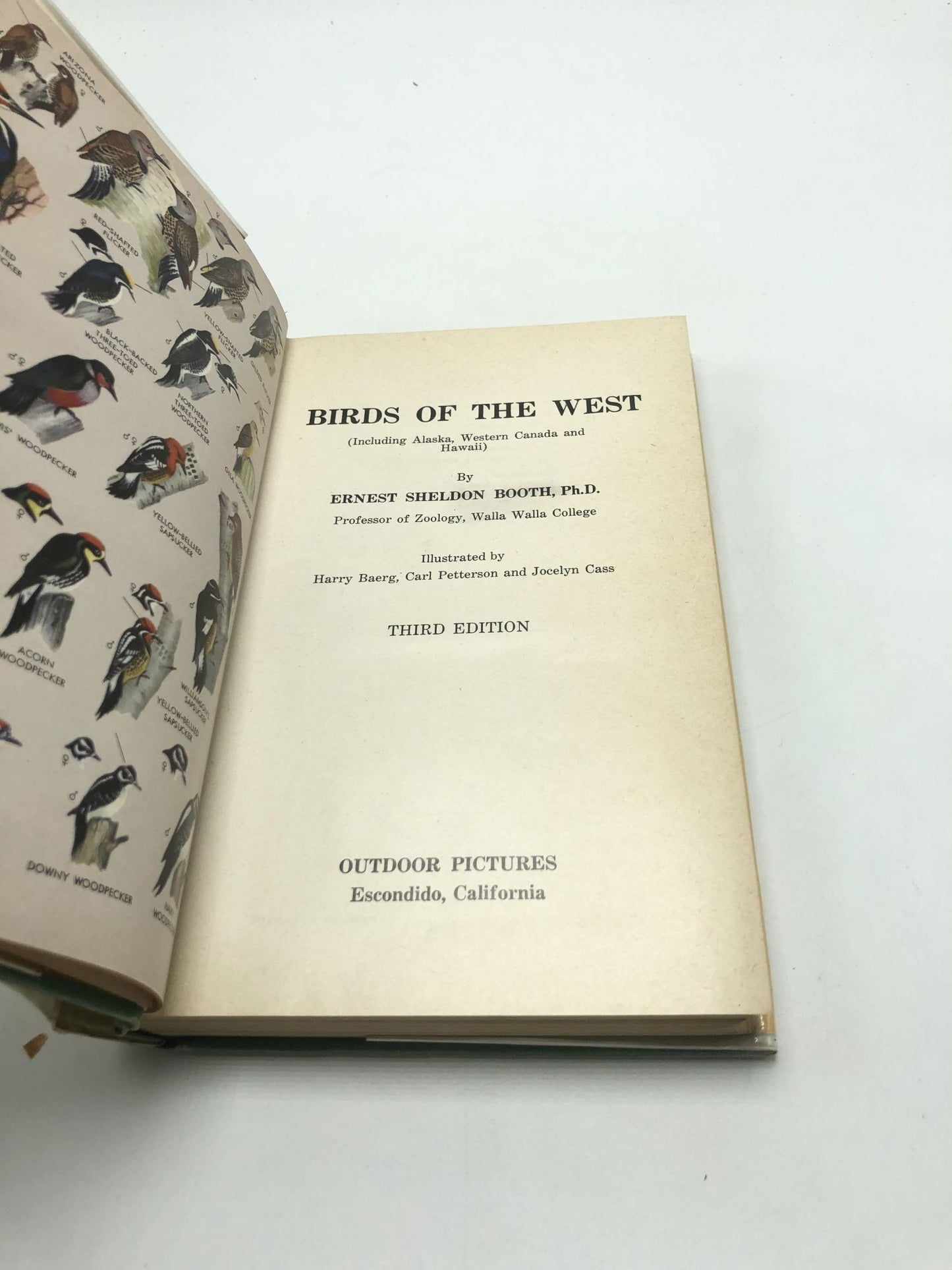 Birds of The West (Including Alaska, Western Canada and Hawaii)