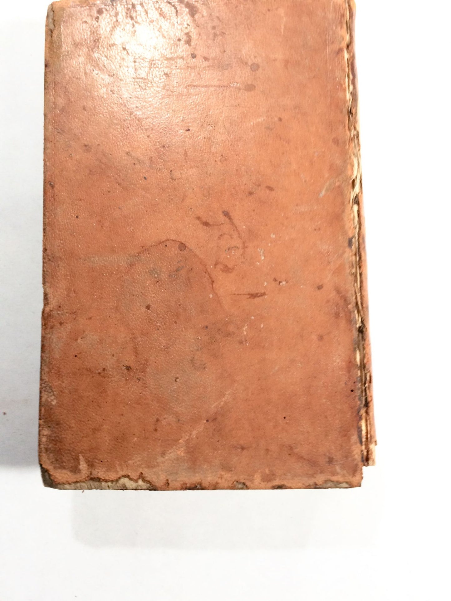 The American Lawyer And Business-Man's Form-Book