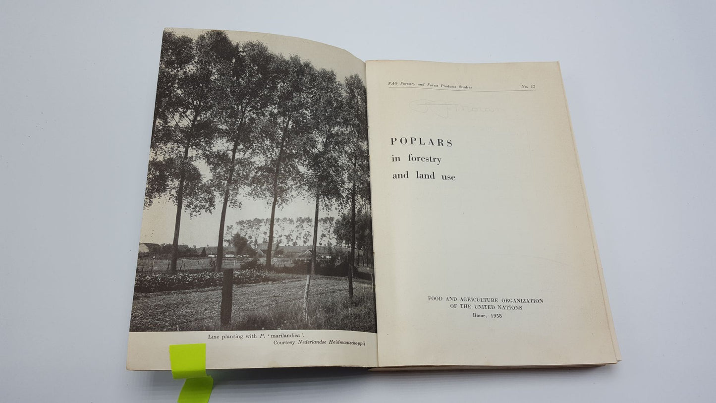 Poplars in Forestry and Land Use