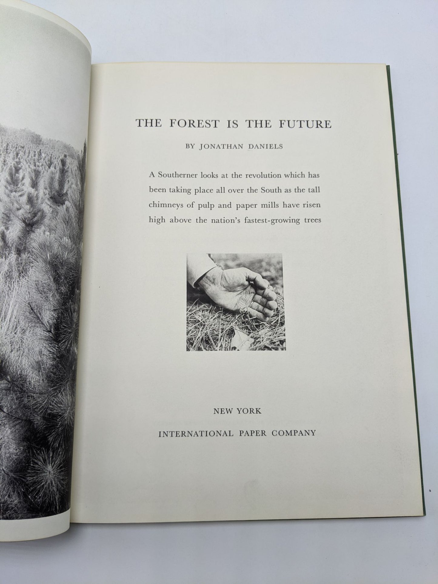 The Forest is the Future