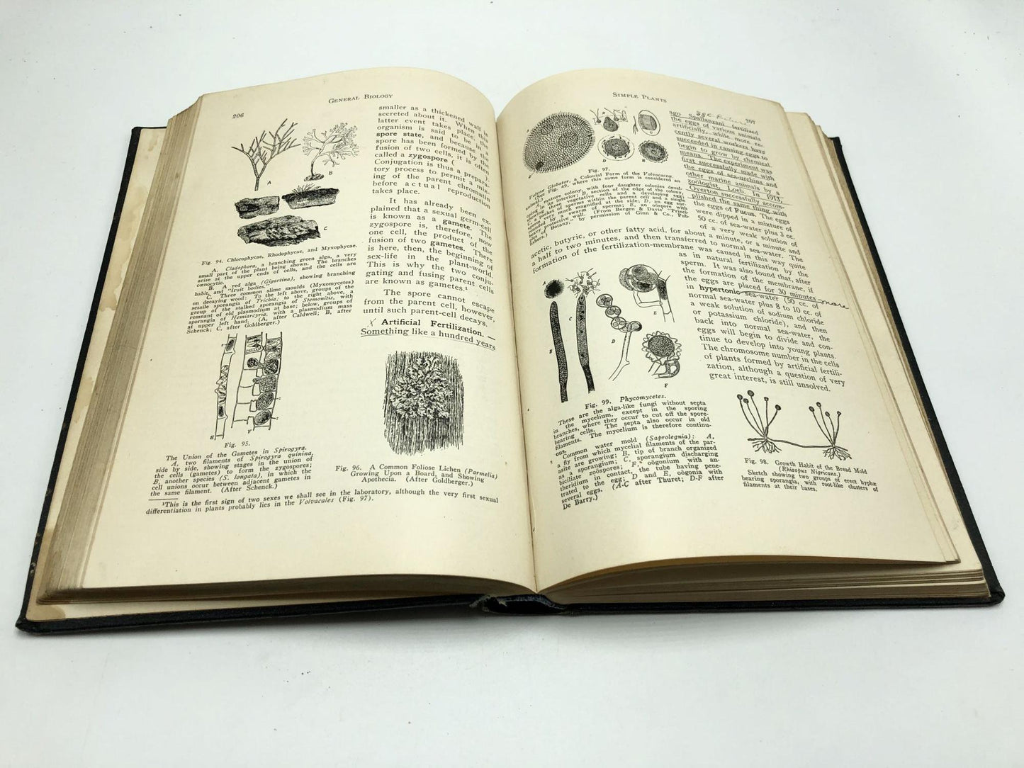 General and Professional Biology Volume I