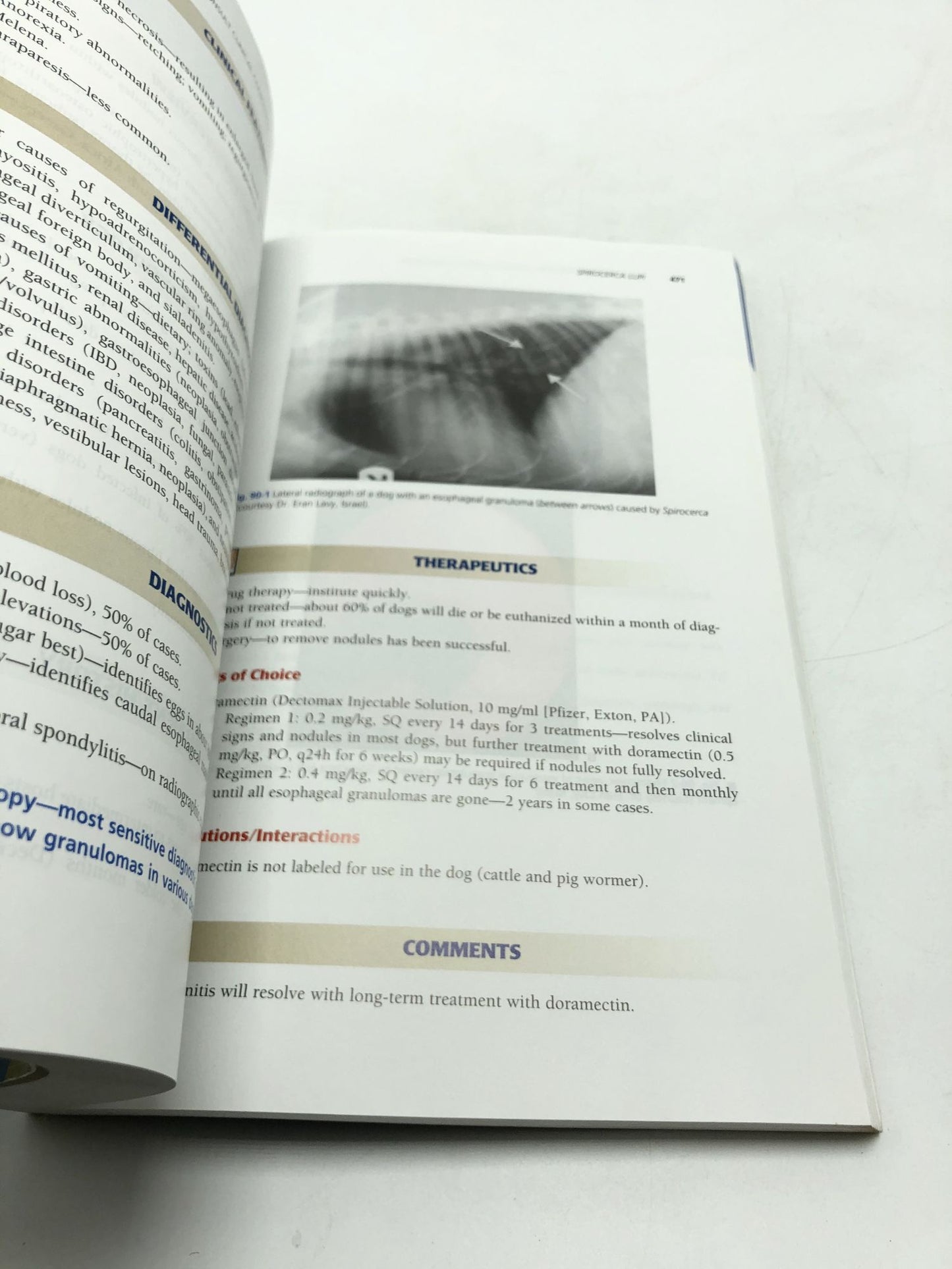 The 5-Minute Veterinary Consult Clinical Companion Canine and Feline Infectious Diseases and Parasitology