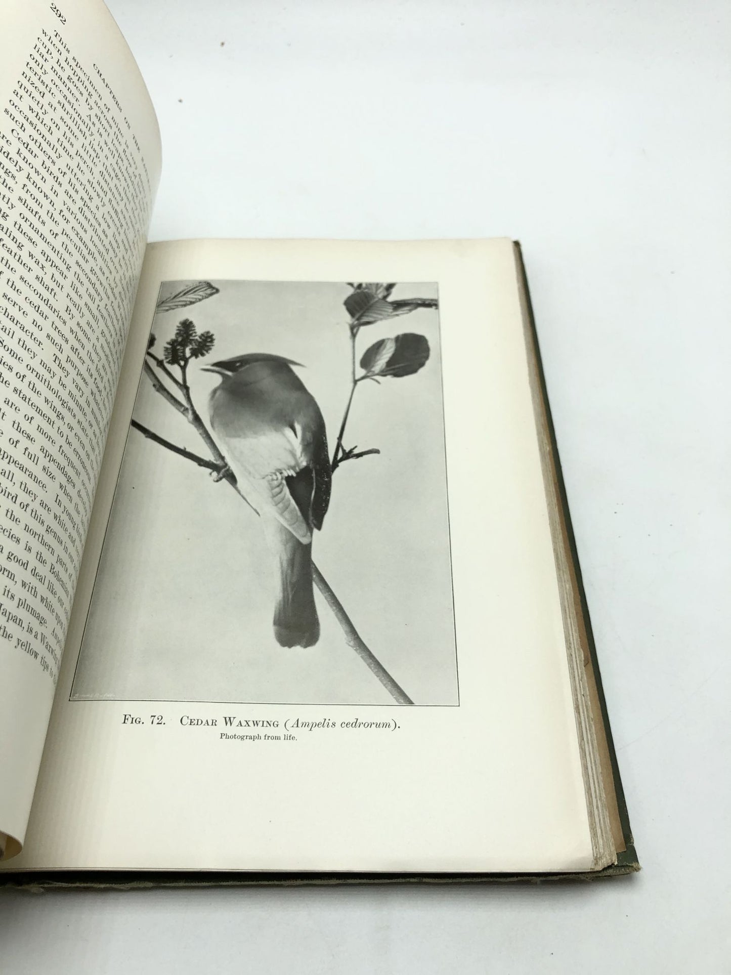 Chapters on the Natural History of the United States