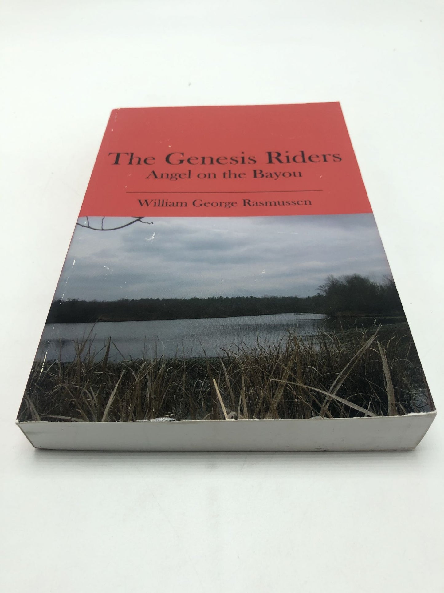 The Genesis Riders: Angel on the Bayou