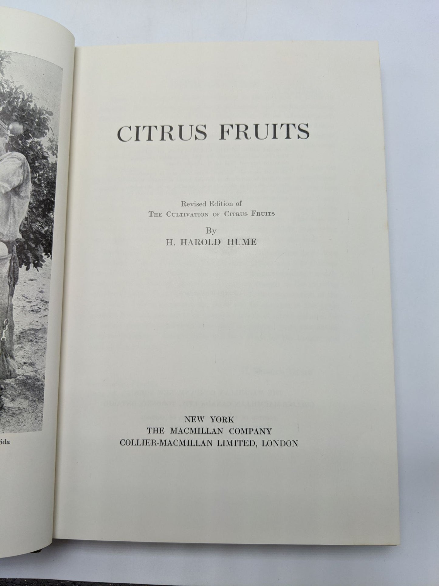 Citrus Fruits