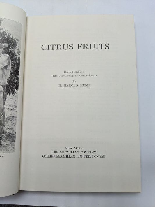 Citrus Fruits