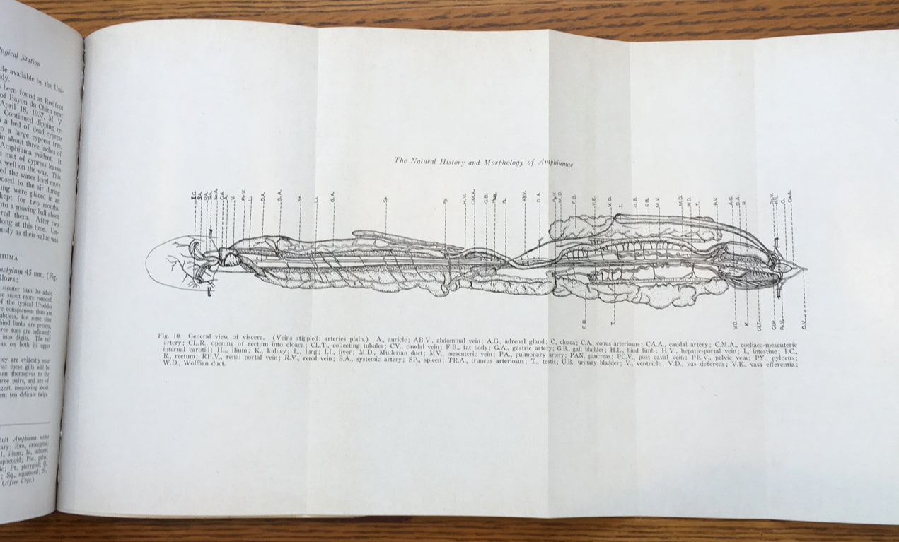Report of the Reelfoot Lake Biological Stations, Volumes 7-9 and 11 (1943-1945, 1947)