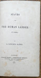 Staves for the Human Ladder: et cetera