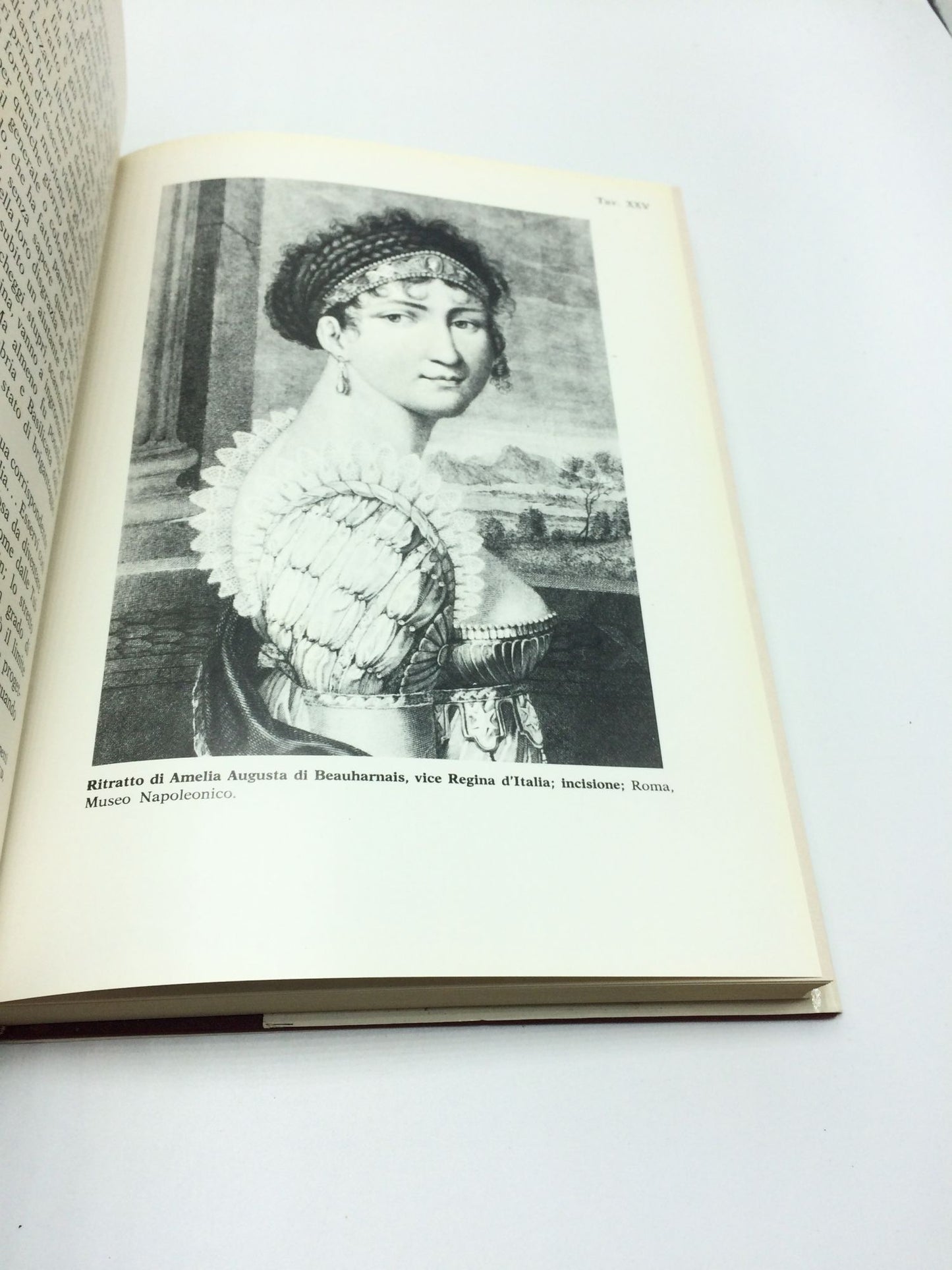 Napoleone E l'Italia Volumes I & 2