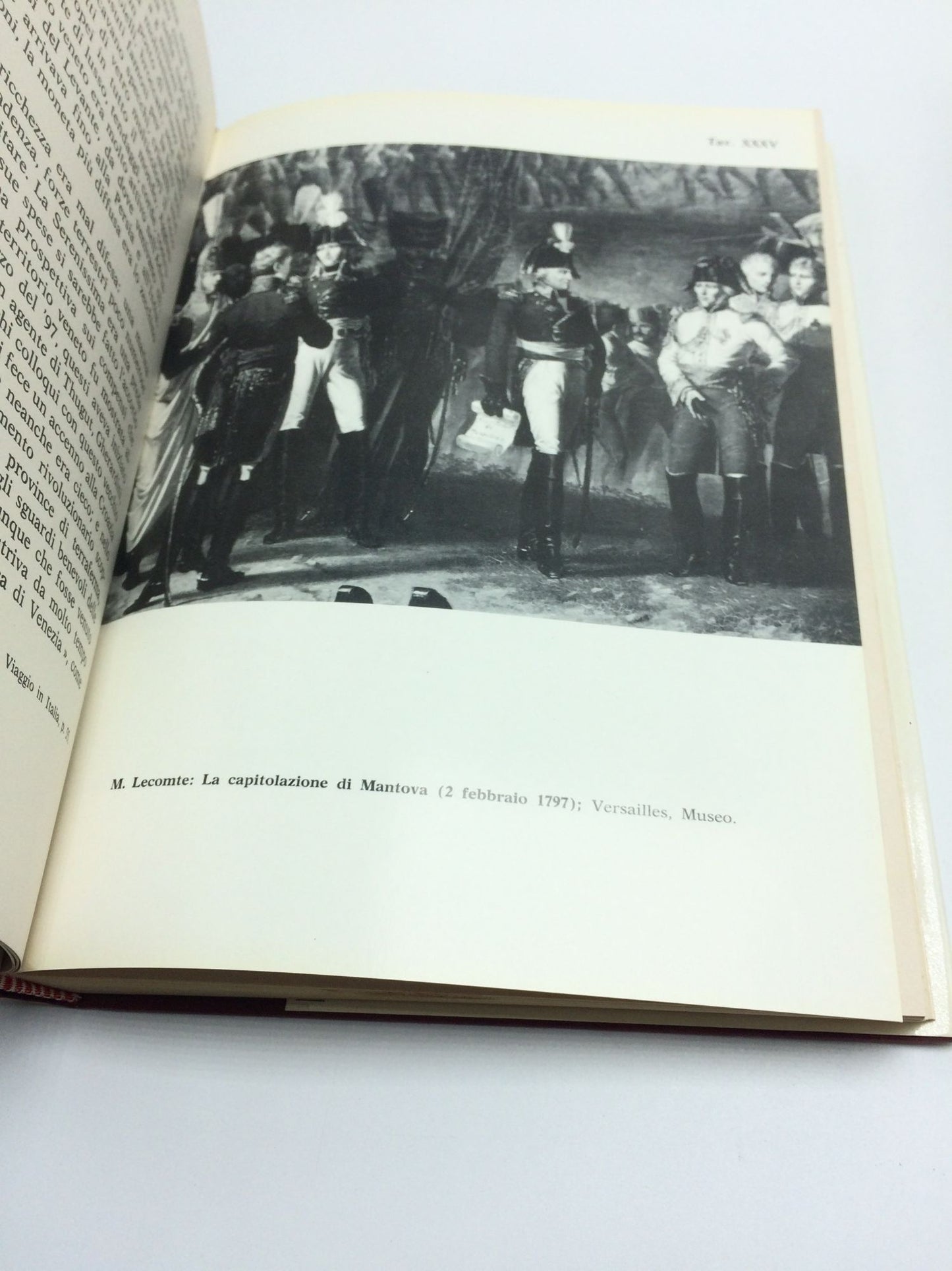 Napoleone E l'Italia Volumes I & 2