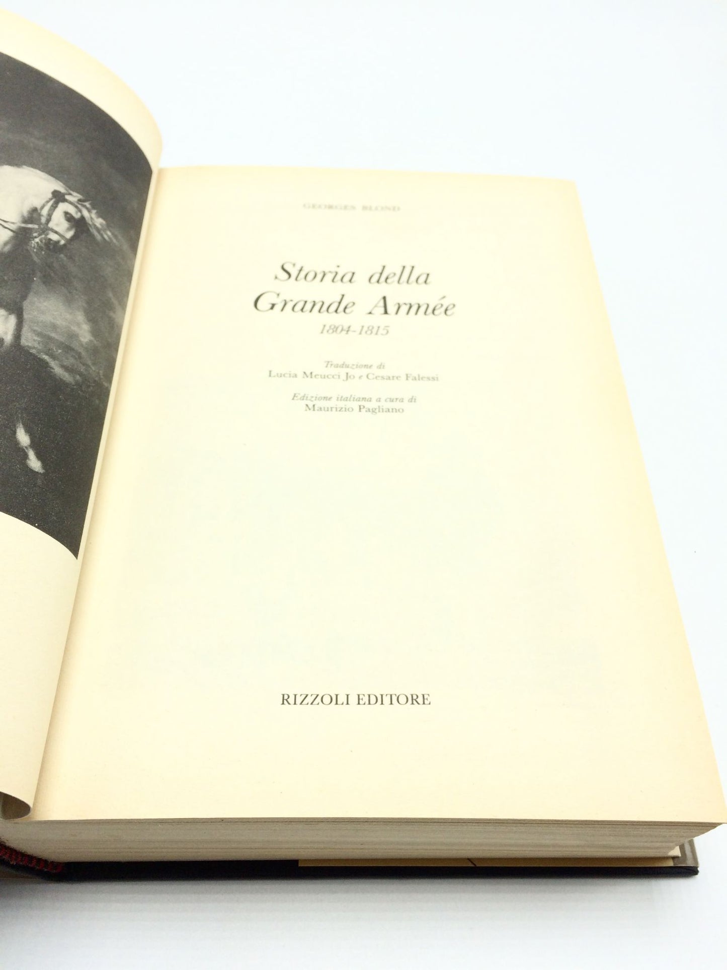 Storia Della Grande Armee