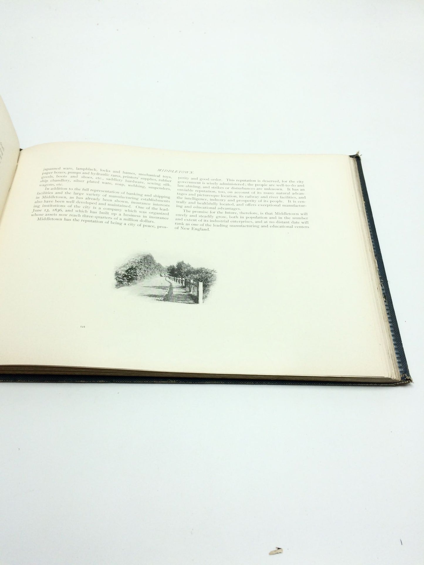 Souvenir To The United Typothetae Of America Thirteenth Annual Convention, September 12-15, 1899
