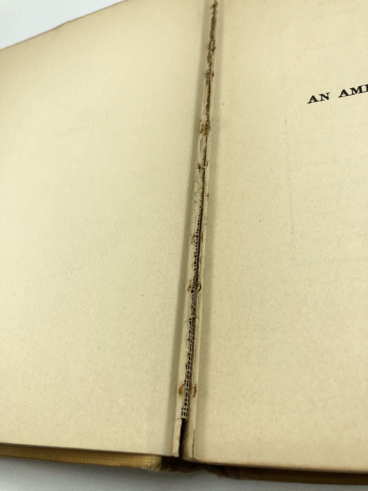 An American Crusoe