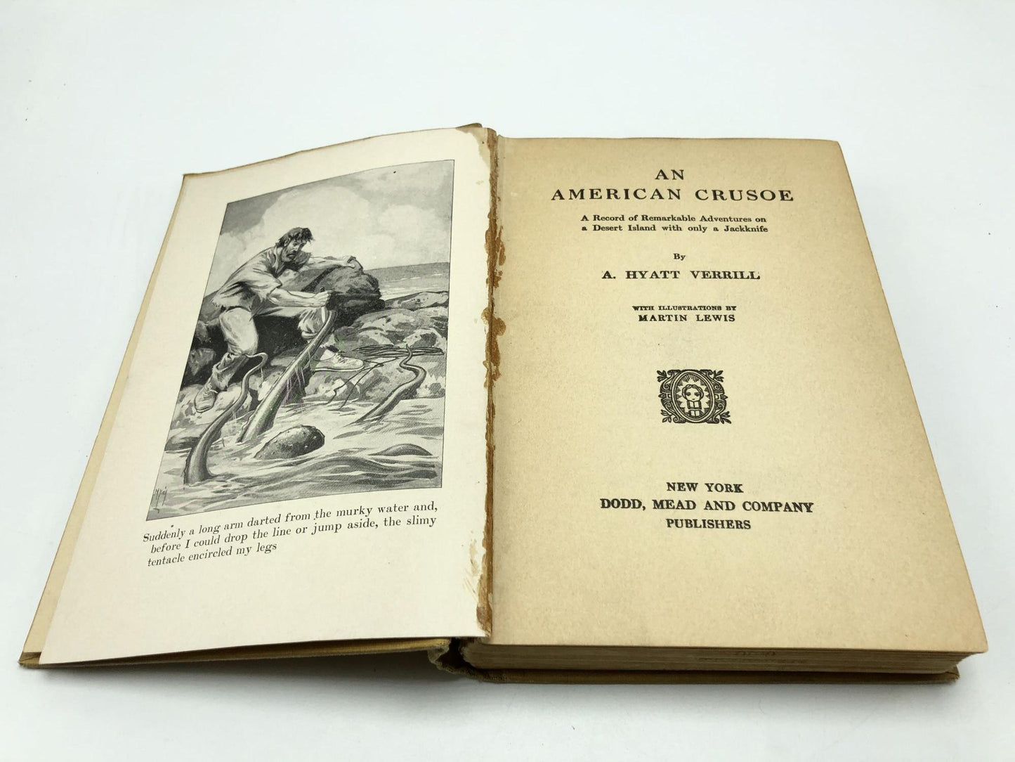 An American Crusoe