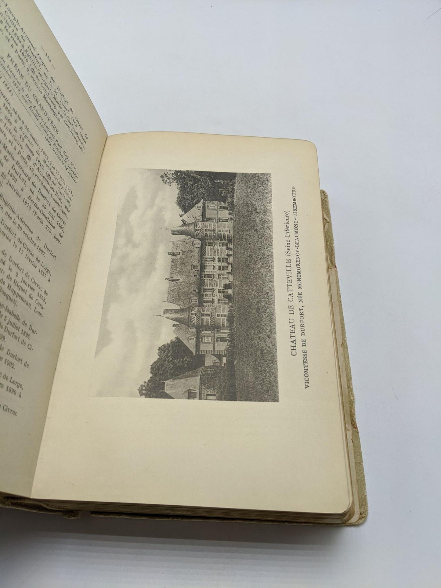 Rex: Genealogical Directory of the Nobility of France. Second year 1910