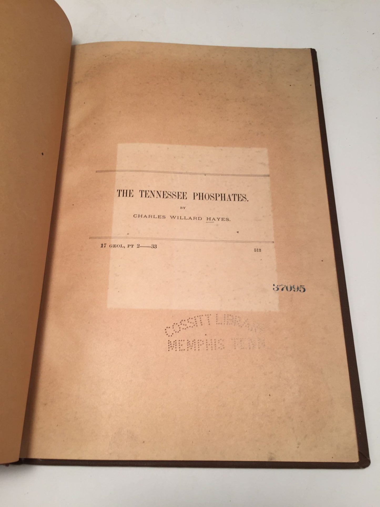 The Tennessee phosphates