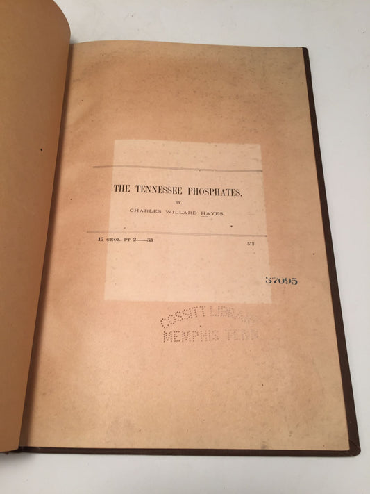 The Tennessee phosphates