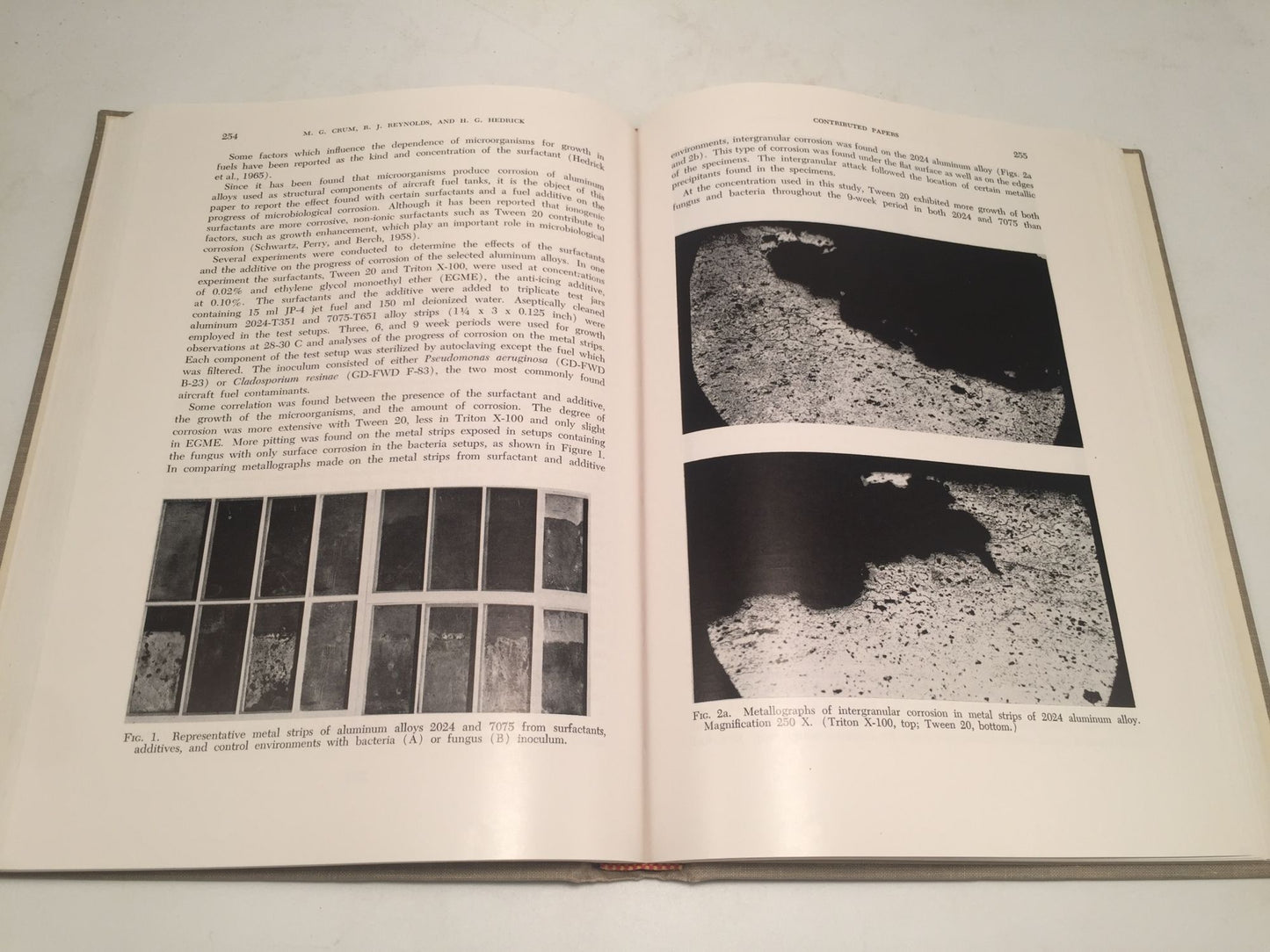 Developments in Industrial Microbiology (Volume 8)