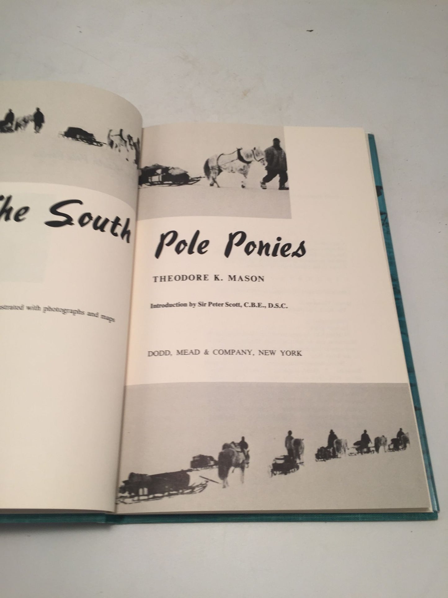 The South Pole Ponies