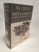 Trees and Shrubs: Hardy in the British Isles (Vol. 1)