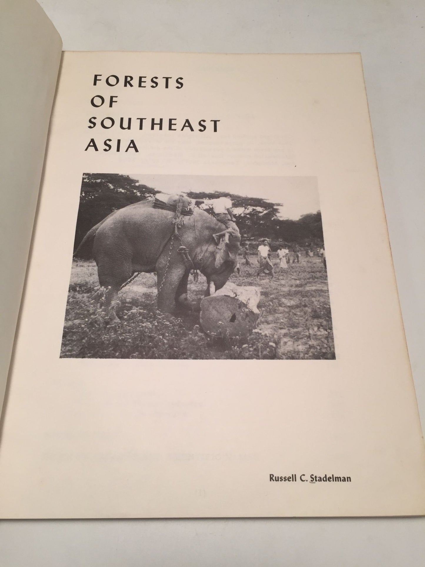 Forests of Southeast Asia