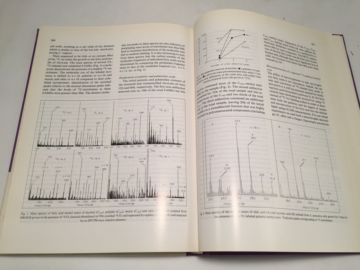 Developments in Industrial Microbiology (Volume 31)